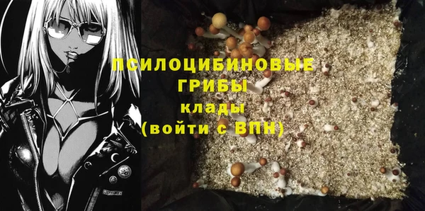 эйфоретик Кулебаки