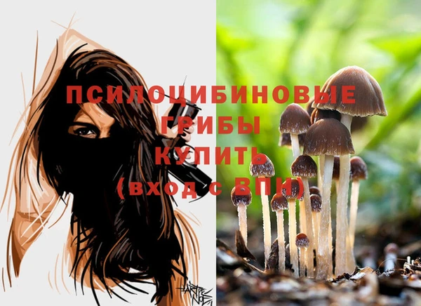 эйфоретик Кулебаки