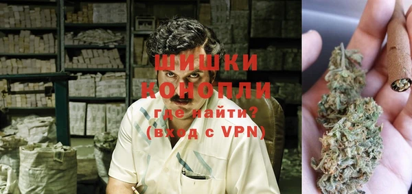 PSILOCYBIN Ладушкин