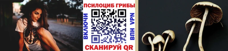 Псилоцибиновые грибы GOLDEN TEACHER Купить Аткарск
